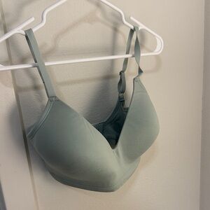 Third Love Form Fit 360 Bra in Sea foam Green and mid blue